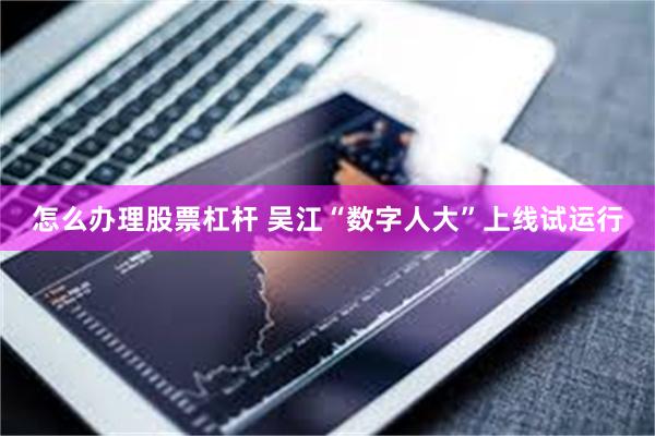 怎么办理股票杠杆 吴江“数字人大”上线试运行