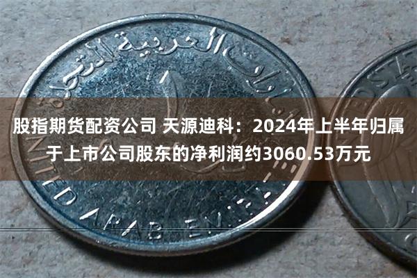 股指期货配资公司 天源迪科：2024年上半年归属于上市公司股东的净利润约3060.53万元