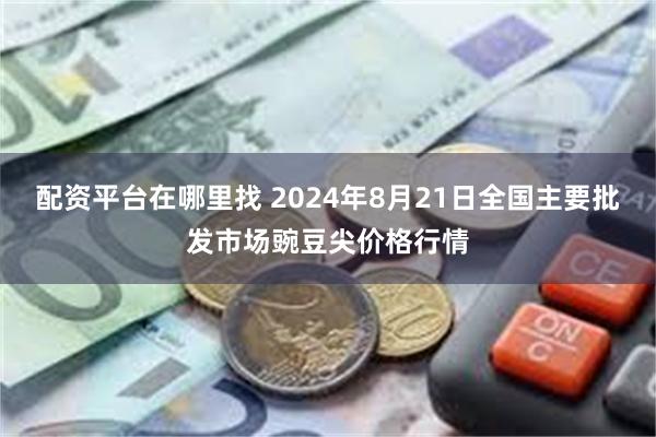 配资平台在哪里找 2024年8月21日全国主要批发市场豌豆尖价格行情