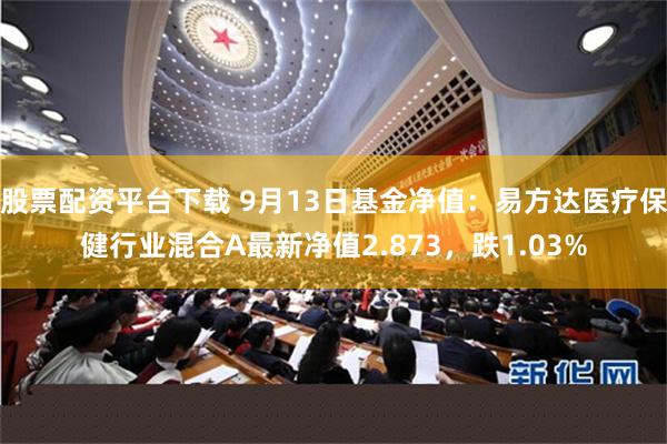 股票配资平台下载 9月13日基金净值：易方达医疗保健行业混合A最新净值2.873，跌1.03%