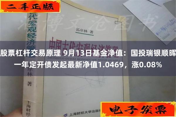 股票杠杆交易原理 9月13日基金净值：国投瑞银顺晖一年定开债发起最新净值1.0469，涨0.08%