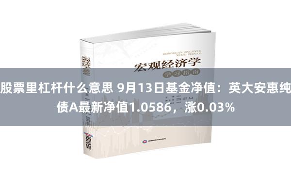 股票里杠杆什么意思 9月13日基金净值：英大安惠纯债A最新净值1.0586，涨0.03%