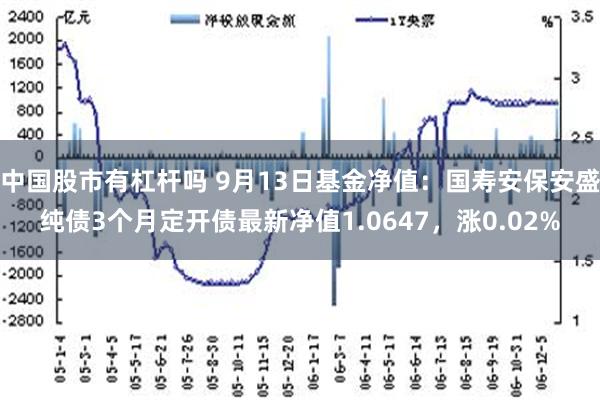 中国股市有杠杆吗 9月13日基金净值：国寿安保安盛纯债3个月定开债最新净值1.0647，涨0.02%