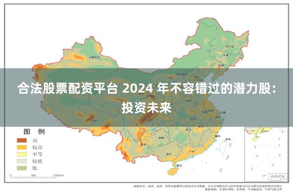 合法股票配资平台 2024 年不容错过的潜力股：投资未来