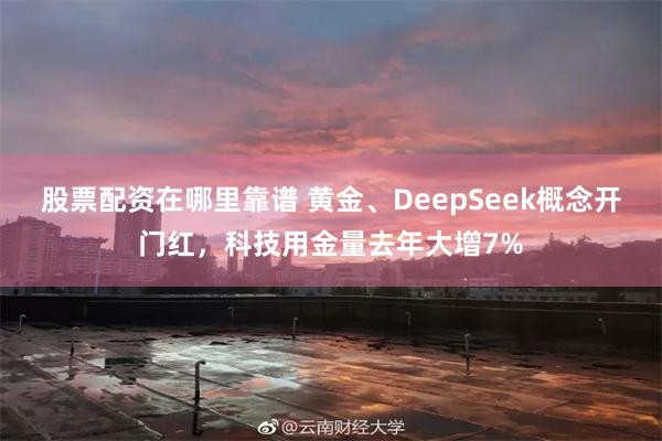 股票配资在哪里靠谱 黄金、DeepSeek概念开门红，科技用金量去年大增7%