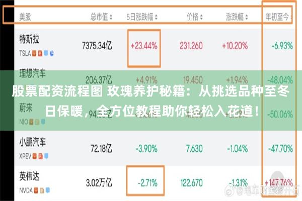 股票配资流程图 玫瑰养护秘籍：从挑选品种至冬日保暖，全方位教程助你轻松入花道！