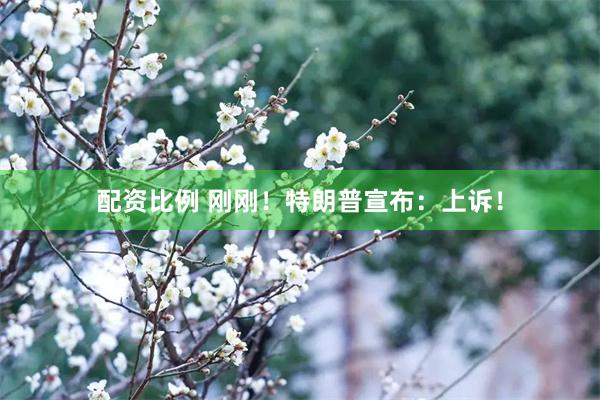 配资比例 刚刚！特朗普宣布：上诉！
