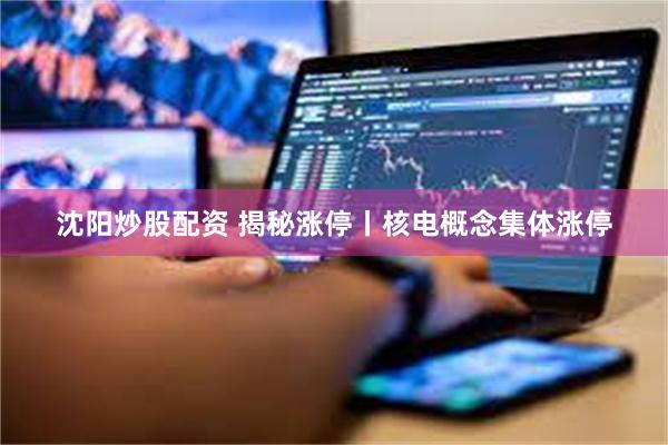 沈阳炒股配资 揭秘涨停丨核电概念集体涨停