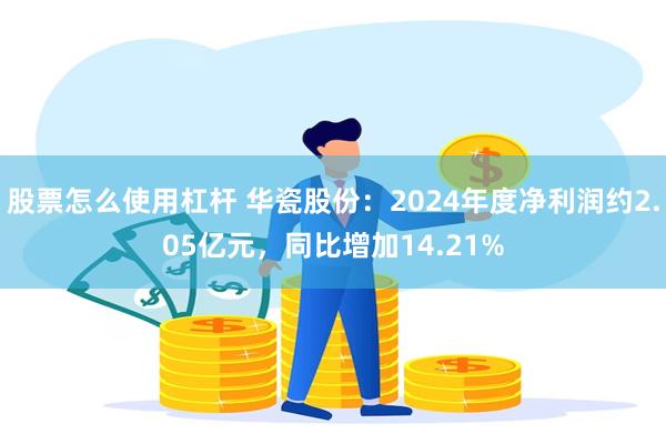 股票怎么使用杠杆 华瓷股份：2024年度净利润约2.05亿元，同比增加14.21%