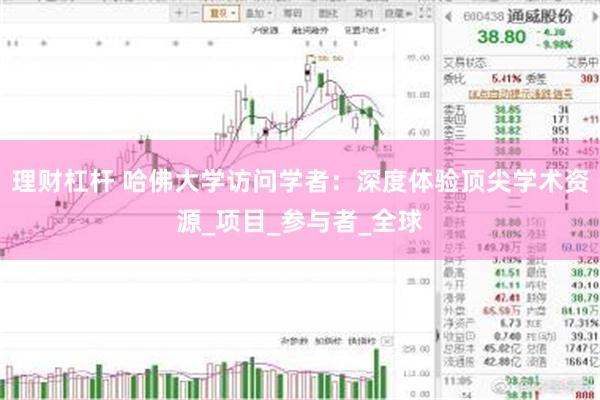 理财杠杆 哈佛大学访问学者：深度体验顶尖学术资源_项目_参与者_全球
