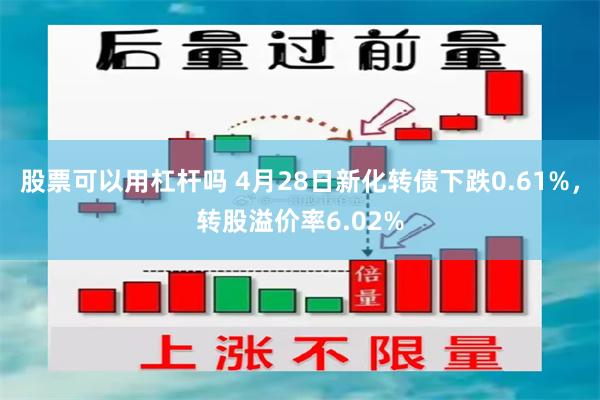股票可以用杠杆吗 4月28日新化转债下跌0.61%，转股溢价率6.02%