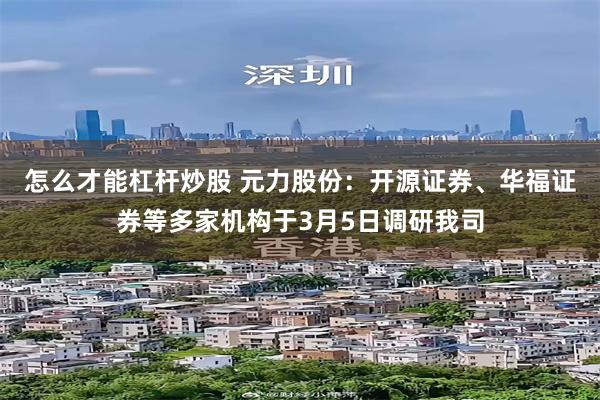 怎么才能杠杆炒股 元力股份：开源证券、华福证券等多家机构于3月5日调研我司