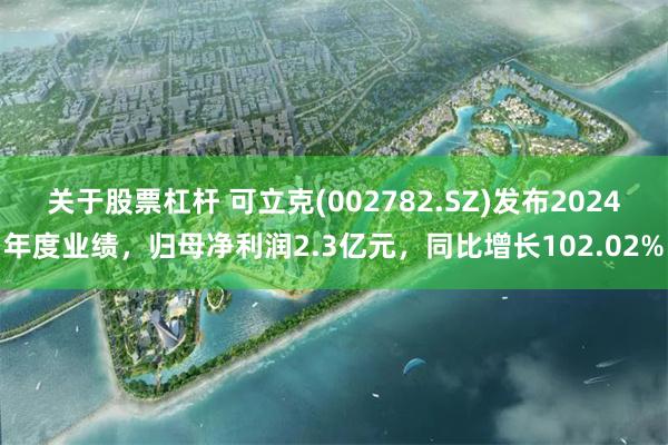 关于股票杠杆 可立克(002782.SZ)发布2024年度业绩，归母净利润2.3亿元，同比增长102.02%
