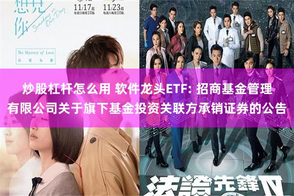 炒股杠杆怎么用 软件龙头ETF: 招商基金管理有限公司关于旗下基金投资关联方承销证券的公告