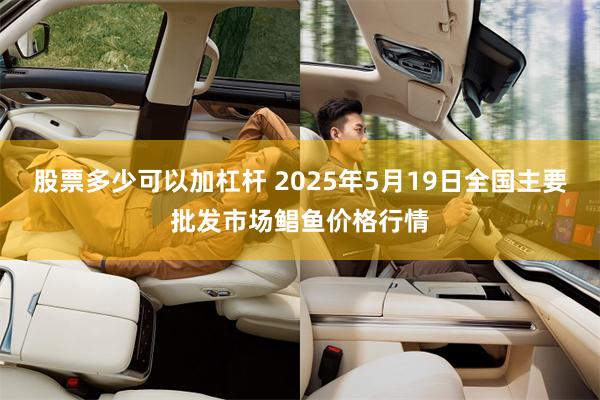 股票多少可以加杠杆 2025年5月19日全国主要批发市场鲳鱼价格行情
