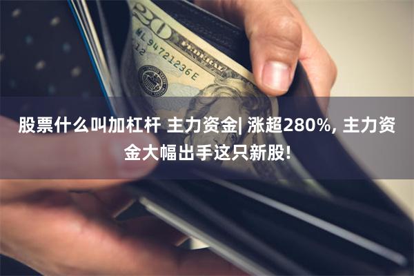 股票什么叫加杠杆 主力资金| 涨超280%, 主力资金大幅出手这只新股!