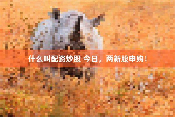 什么叫配资炒股 今日，两新股申购！