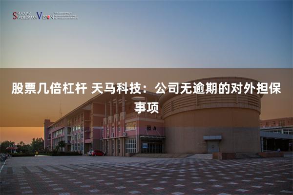 股票几倍杠杆 天马科技：公司无逾期的对外担保事项